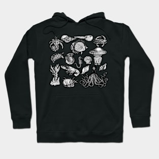 Vintage Sea Life Illustrations Hoodie